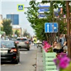 «Кизильник и рябина вместо черемухи и липы»: центральную улицу Красноярска будут озеленять по-новому