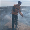 На юге Красноярского края зарегистрировали первый в этом году лесной пожар