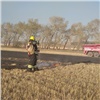 В Красноярском крае происходит все больше пожаров из-за сухой травы