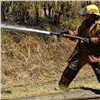100 лесных пожарных и партию спецтехники направили в южные районы Красноярского края