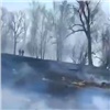 «Оставил после себя неприятный запах»: на красноярском Татышеве снова загорелась трава (видео)