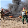 «Два Ан-2 сбросили воду»: появилось видео тушения пожара под Минусинском (видео)