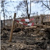 «Неужели иначе нельзя?»: в Октябрьском районе ради создания сквера уничтожили около 20 взрослых деревьев