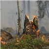 Рабочий хотел приготовить обед и устроил лесной пожар на юге Красноярского края 