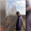 Житель Красноярского края хотел ускорить рост травы для коров и устроил пожар на 13 га (видео)