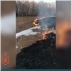 Житель Иланского района решил сжечь сухую траву «во благо пчел» (видео)