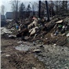 На ликвидацию свалок в Центральном районе Красноярска потратят рекордную сумму