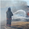 В Красноярском крае ликвидировали последние крупные пожары