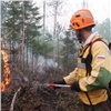 Лесным пожарным Красноярского края отправили подкрепление из Амурской области и Хакасии