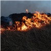 «Стало скучно и холодно»: ачинец устроил пожар на Солдатском пляже (видео)