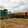 Краевые земледельцы получили более 180 миллионов рублей на производство и сбыт зерновых