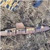 Житель Красноярского края украл ружье и 109 патронов и спрятал их в огороде: вычислили по отпечатку пальца