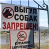 Возможные пляжи, закрытые Столбы и опасные паразиты: главные события в Красноярском крае за 26 мая