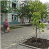 «Будут образовывать зеленые ярусы»: красноярский проспект Мира озеленят по-новому