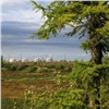 «РН-Ванкор» признан лучшим в области экологической безопасности среди добывающих предприятий «Роснефти»