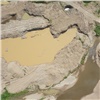 В Сухобузимском районе золотопромышленники загрязнили реку 