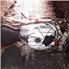 В Большеулуйском районе мотоциклист столкнулся со сбежавшей от хозяйки коровой