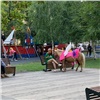 «Лошади пахнут, их погонщицы матерятся»: красноярцы жалуются на прокат пони в центре города