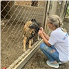Волонтёры из «Транснефть — Западная Сибирь» помогли приютам для животных