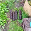 Житель Красноярского края выкопал в огороде снаряды 