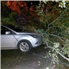 Обрушившийся на Красноярск ветер повалил деревья и оборвал провода
