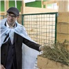 «Свести к минимуму зависимость от негативных внешних факторов»: в Законодательном Собрании Красноярского края обсудили поддержку аграриев