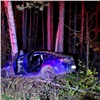 В Енисейском районе молодой водитель превысил скорость и врезался в дерево. Погибли двое (видео)