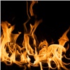 В поселке Красноярского края пожарные пять часов тушили горящий дом. В возгорании погибла женщина