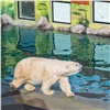 В красноярском зоопарке построили второй декоративный вольер для белых медведей