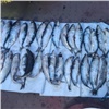 «Ловил для себя»: в Красноярском крае браконьер прятал 200 рыб белых пород на плавучем кране