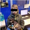Стали известны новые подробности о пропаже в Красноярске 11-летнего мальчика с собакой