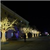 В центре Красноярска выставили световые деревья