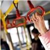 В Красноярске кондуктор автобуса устроила потасовку с пассажиркой, получила по лицу и будет наказана (видео)