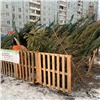 В Красноярске не будет пунктов для сбора использованных новогодних ёлок