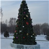Красноярцев позвали зажечь огни на ёлке в парке на Мясокомбинате и посмотреть на необычных снеговиков 