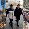 В Красноярском крае на депутата сельсовета завели дело за незаконные вырубки 
