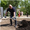 «Задача непростая»: в Красноярске в этом году поручили высадить 50 тысяч деревьев вместо запланированных 1300