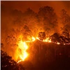 Лесные пожары, рост уровня воды в реках и рейсы на Шри-Ланку: главные события в Красноярском крае за 28 июля