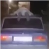 В Боготоле 18-летний парень решил прокатить друга на крыше авто и попался полиции (видео)