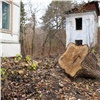 В Красноярске возле бывшего санатория на Удачном ради дороги вырубили деревья