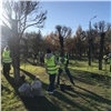 «Не просто украшение города»: сотрудники «РостТех» высадили яблони в двух районах Красноярска