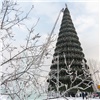 В Красноярске открытие главной городской елки перенесли на неделю 