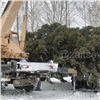 Власти Шарыпово срубили елку на частной территории и поставили на городскую площадь (видео)
