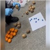 Красноярский кладмен прятал наркотики в мандаринках (видео)