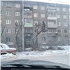 «Потом мертвые сносить будем»: красноярцев удивила обрезка деревьев в 30-градусный мороз