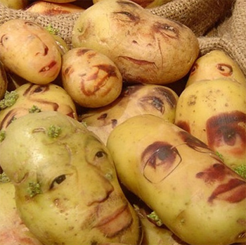  художественная  роспись на картофеле